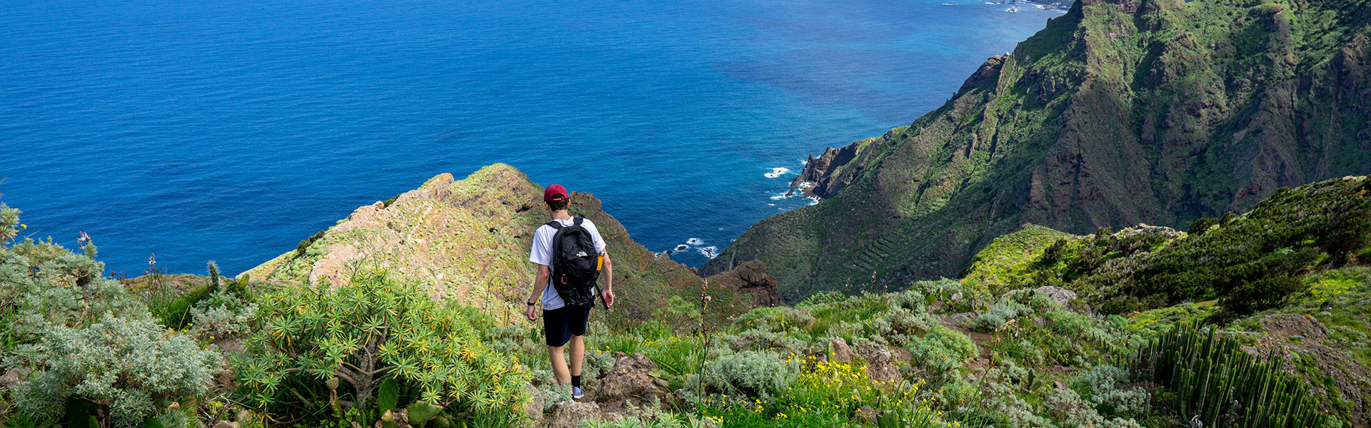 Viaggi e vacanze Tour di Tenerife