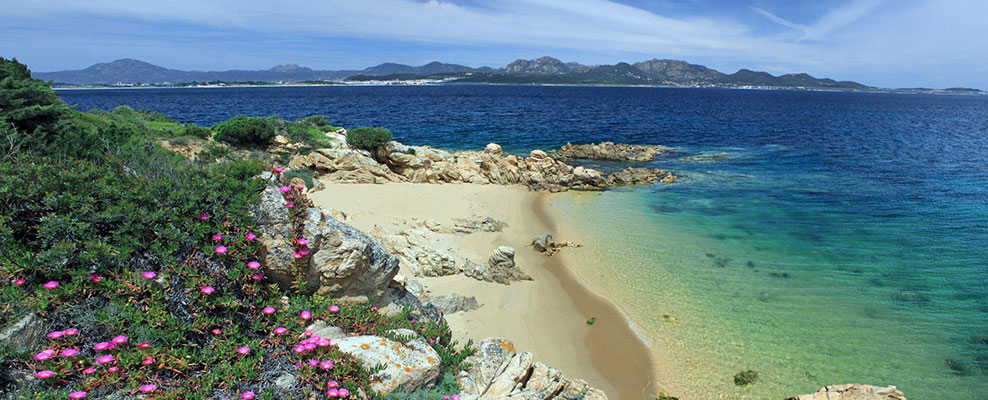 Viaggi e vacanze Capo Ceraso